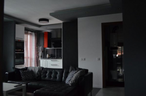 Apartment City Center - FREE PARKING - easy check-in, Chorzow